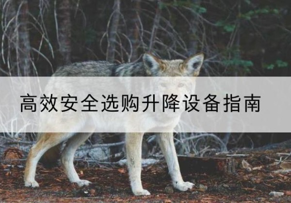 尖扎升降货梯厂家推荐-*安全选购升降设备指南