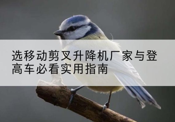 尖扎电动升降机厂家-选移动剪叉升降机厂家与登高车必看实用指南